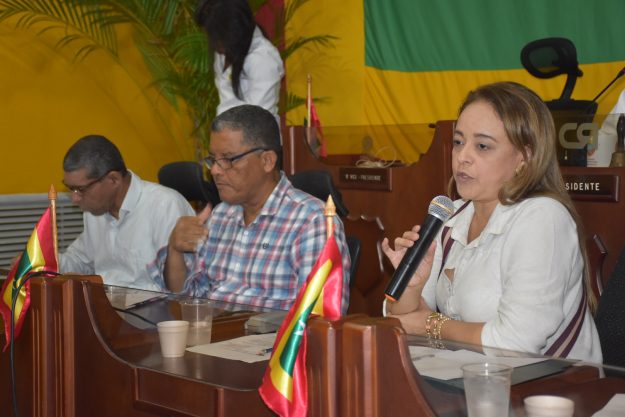 SED – Concejo – Fdez 1