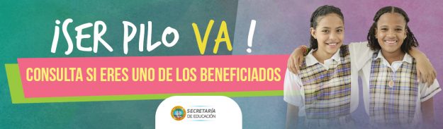 banner1353x396 banner ser pilo va