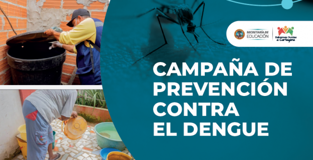 Campaña contra el dengue