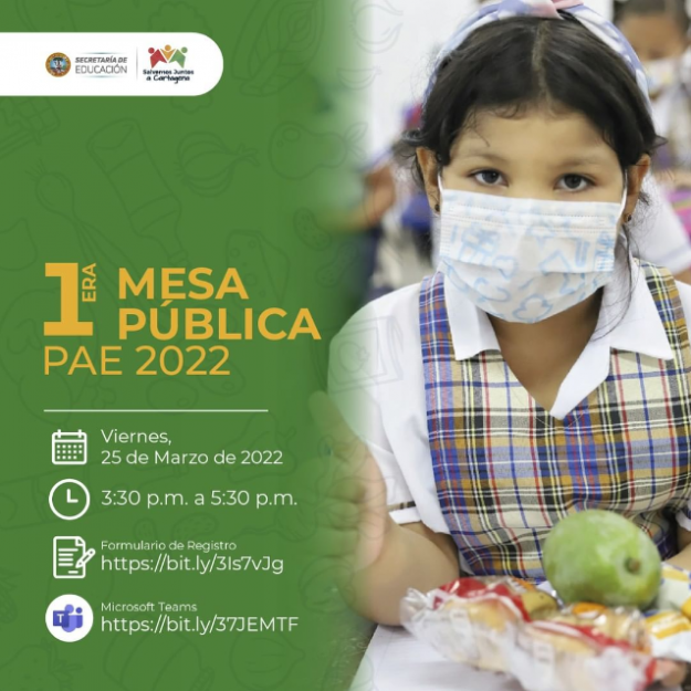 1era Mesa Pública PAE